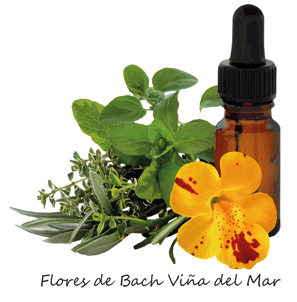 Logo Flores de Bach Viña del Mar.png