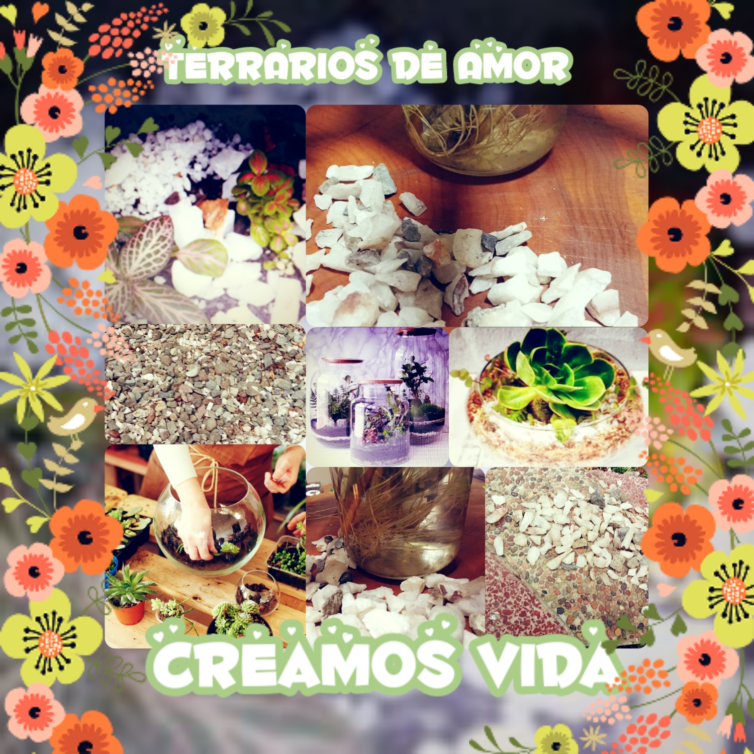 photocollage_202531184610120.jpg
