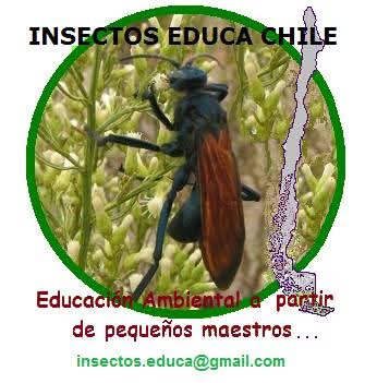 FB_IMG_1747615937979.jpg