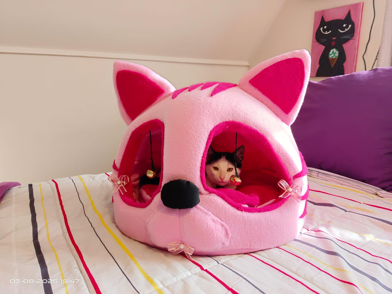 Imagen de WhatsApp 2025-08-20 a las 11.16.09_ace5e64f.jpg