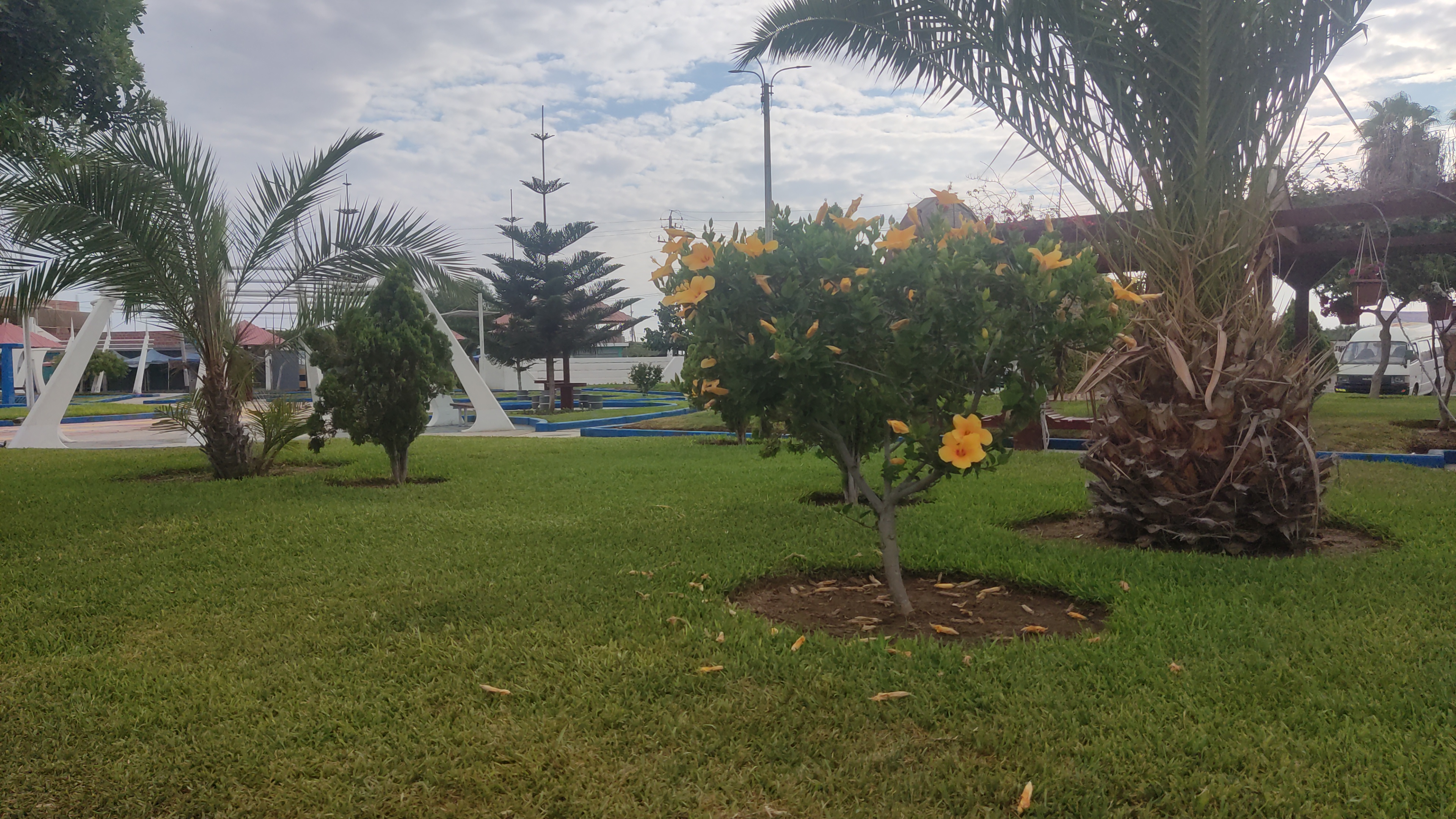 IMG-20260218-WA0024.jpeg