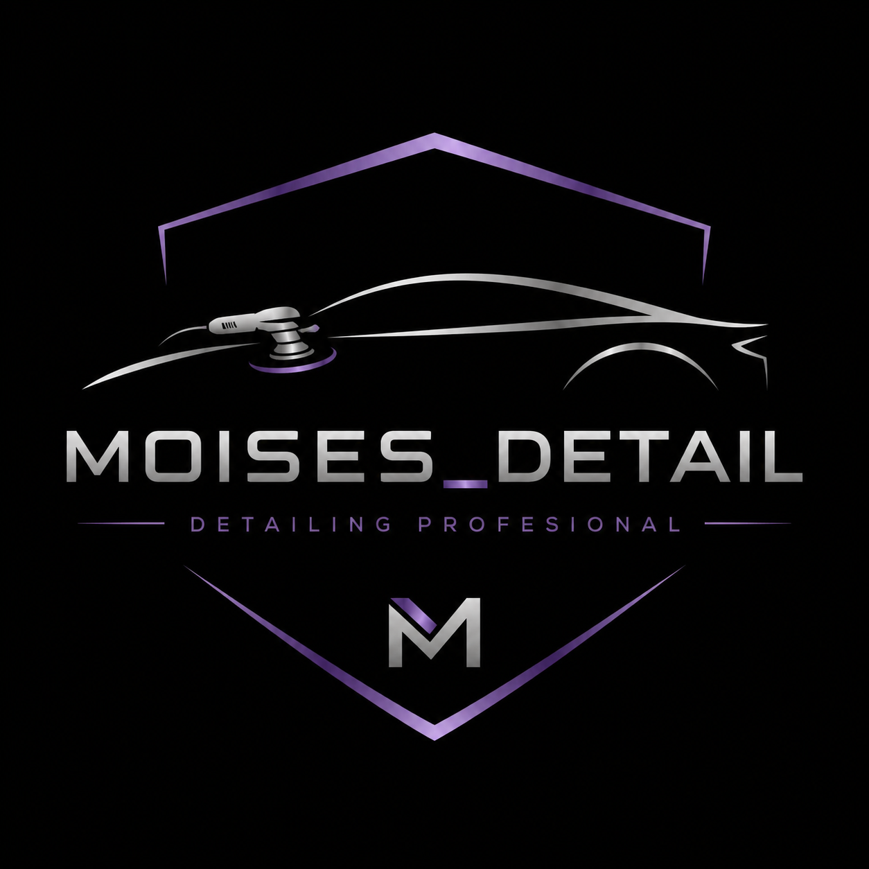 moises_detail.png