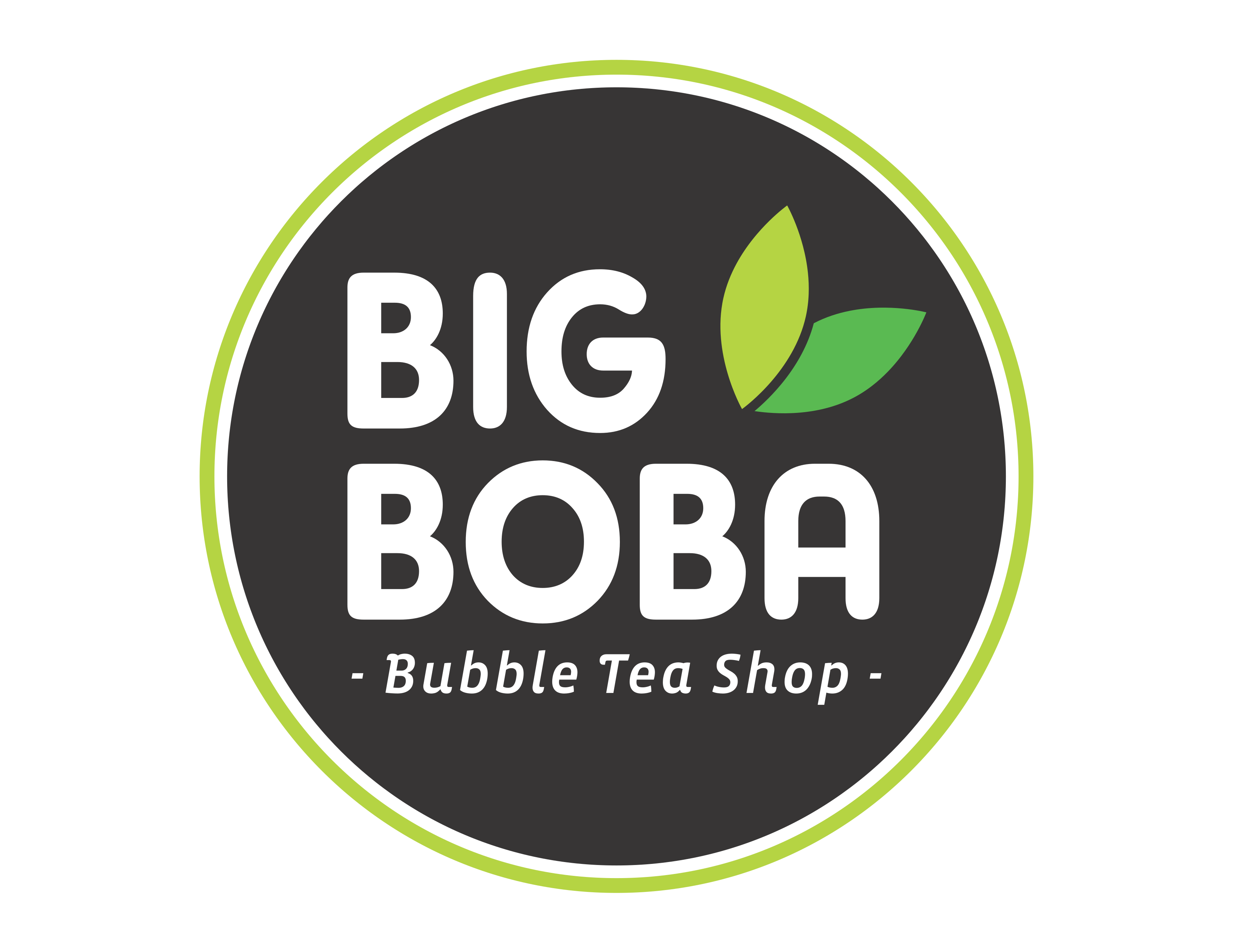BIGBOBA_logo