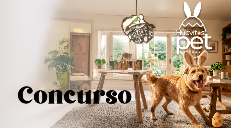 Concurso_Huevitos Pet