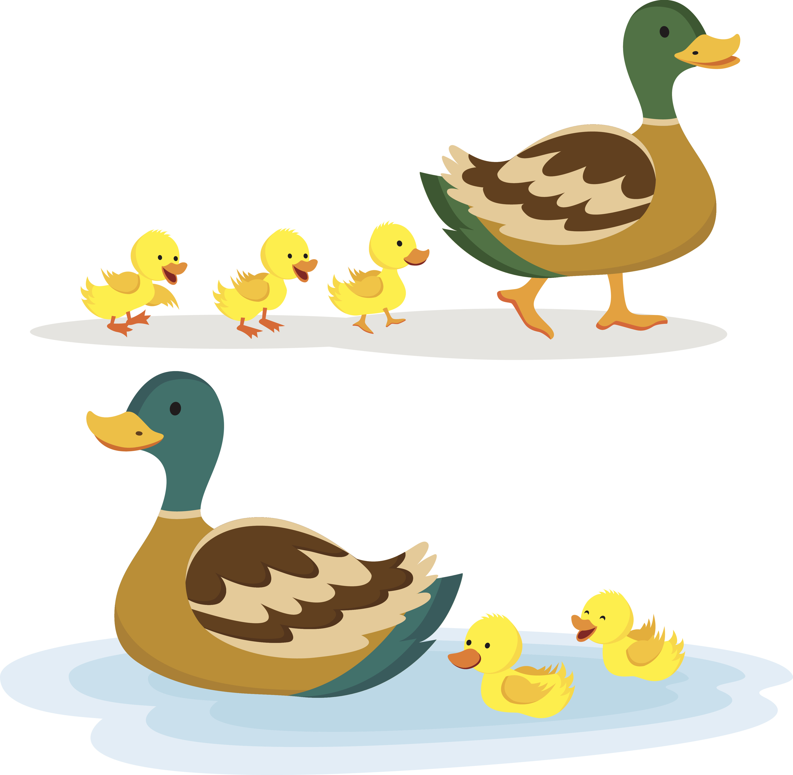 MAMA PATA Y SUS PATITOS