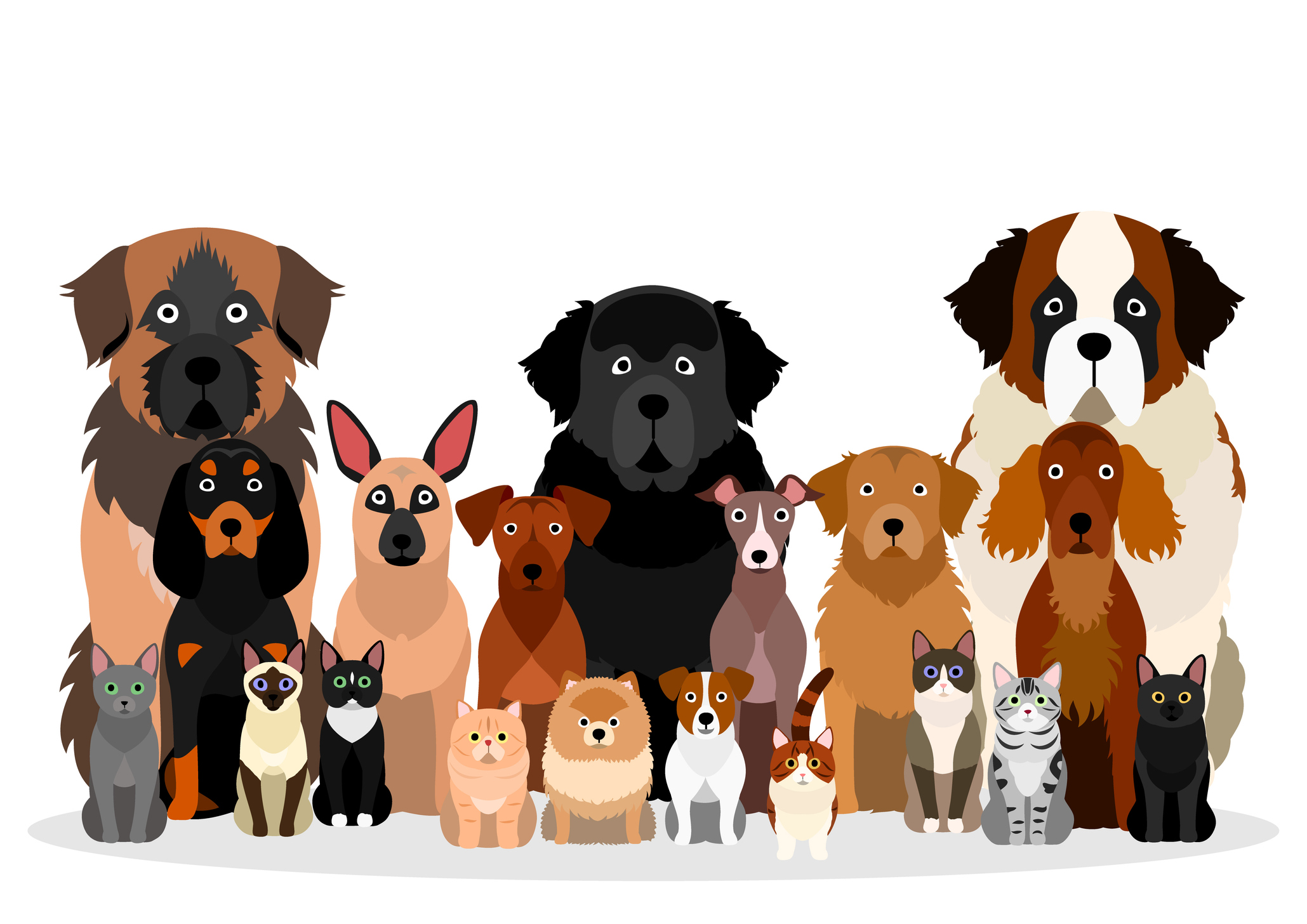 PERRITOS
