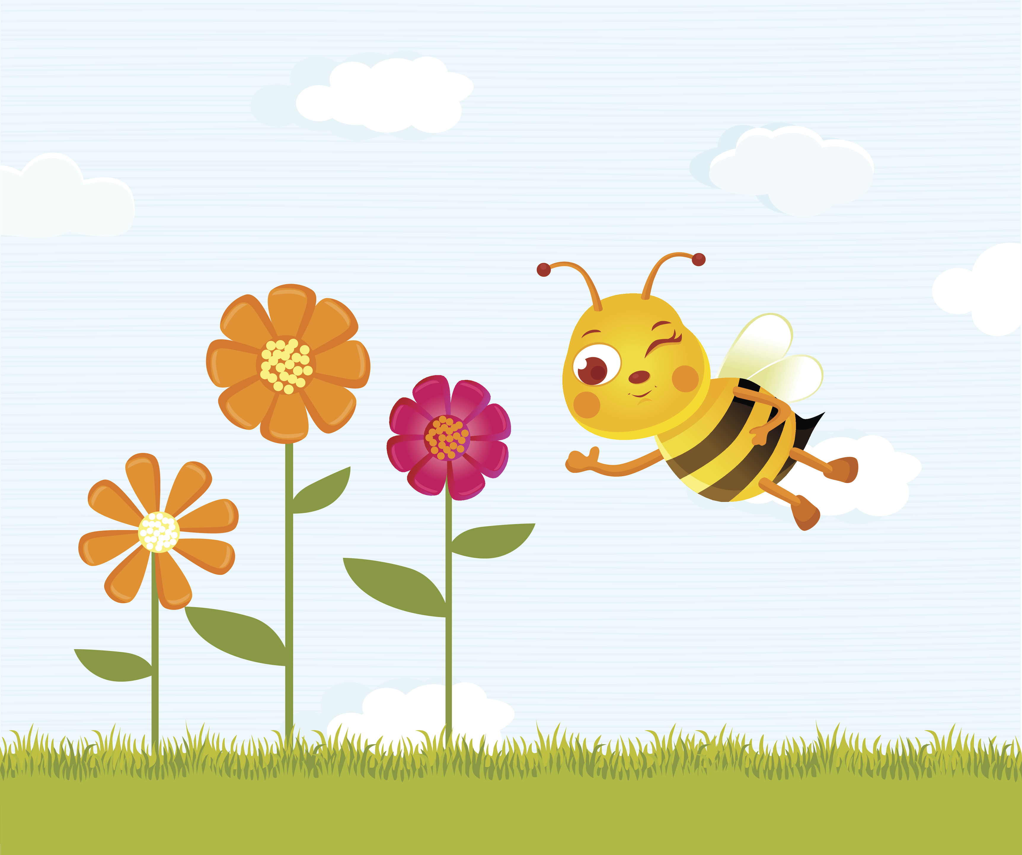 flores del jardin