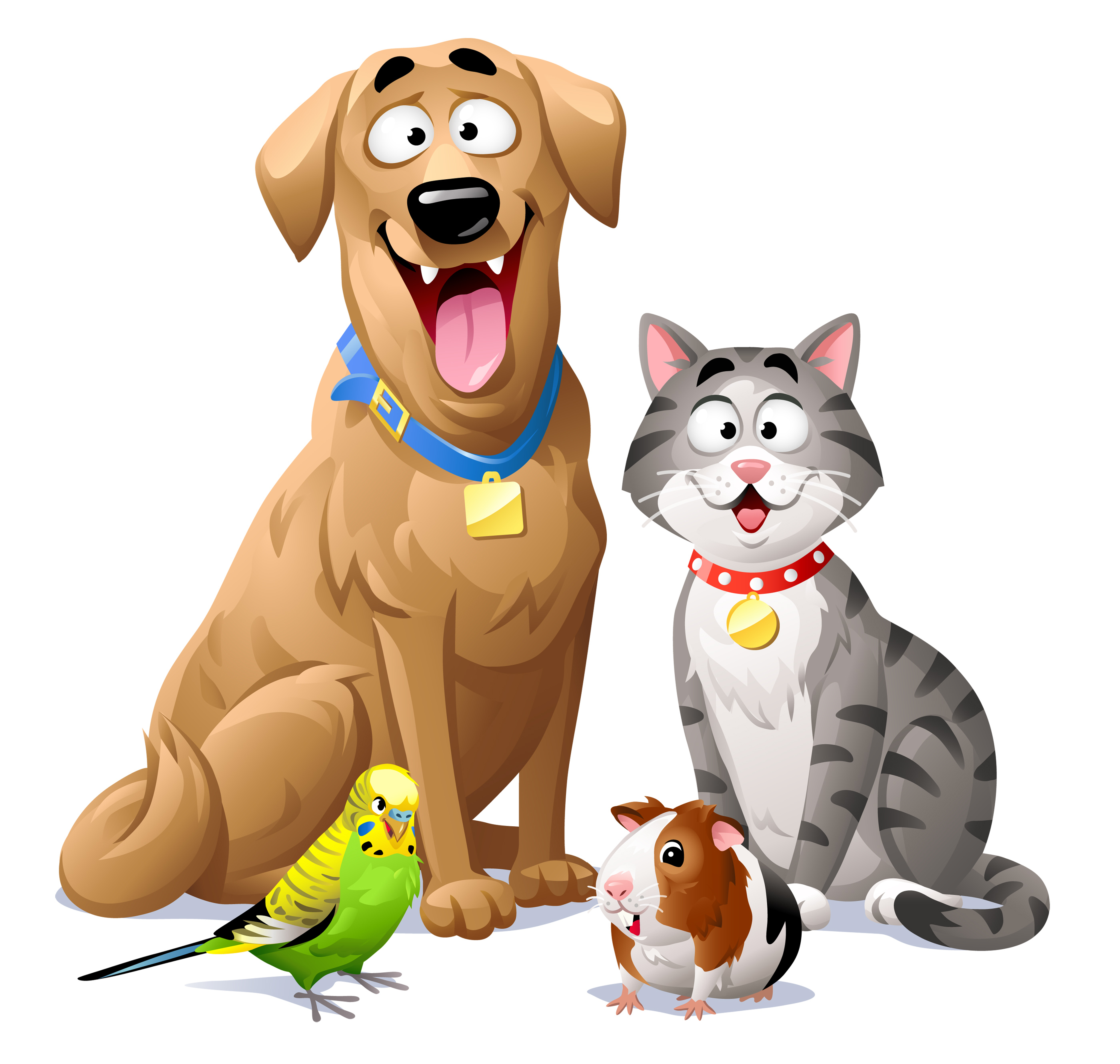 iStock-1142382282