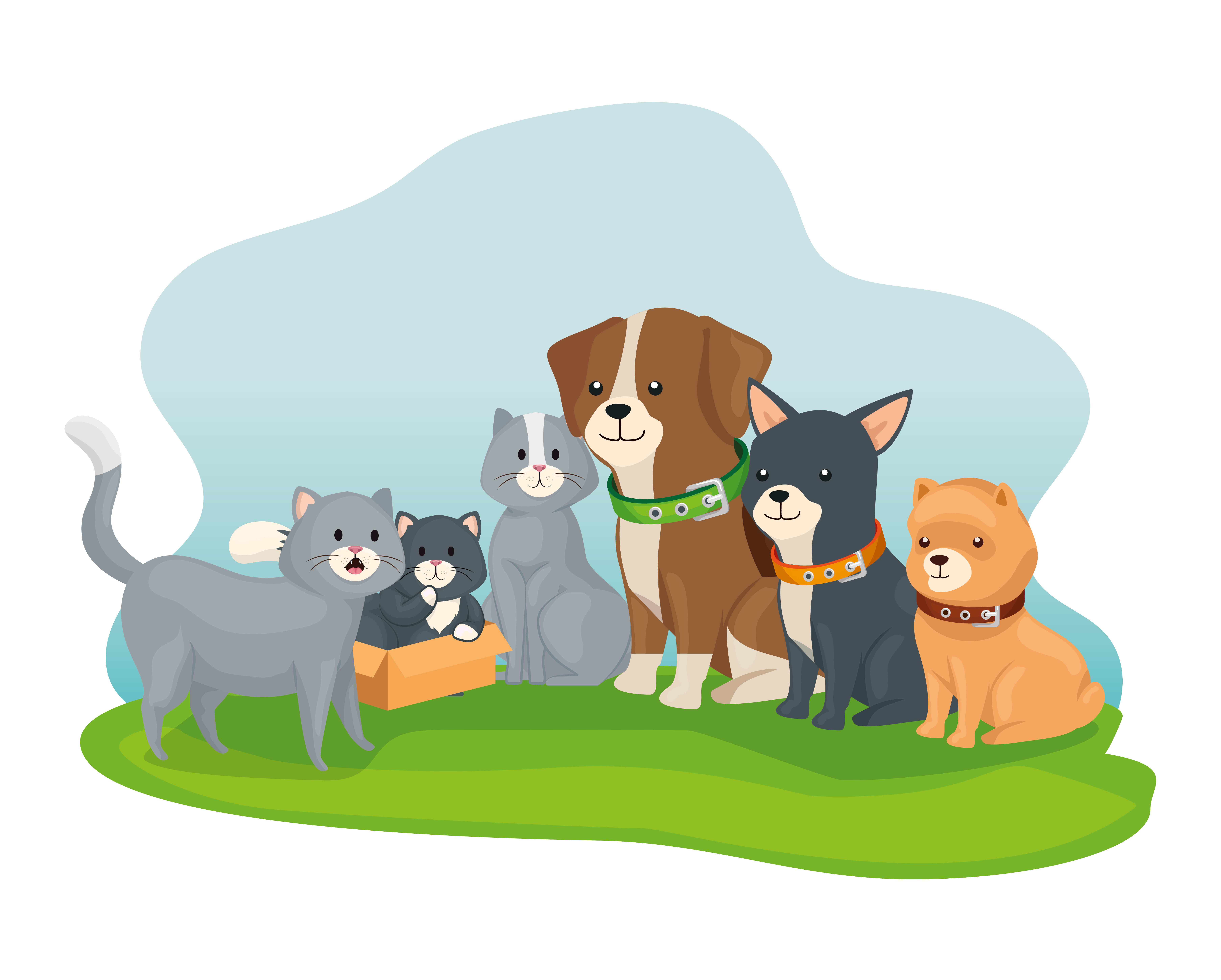 iStock-1204205811