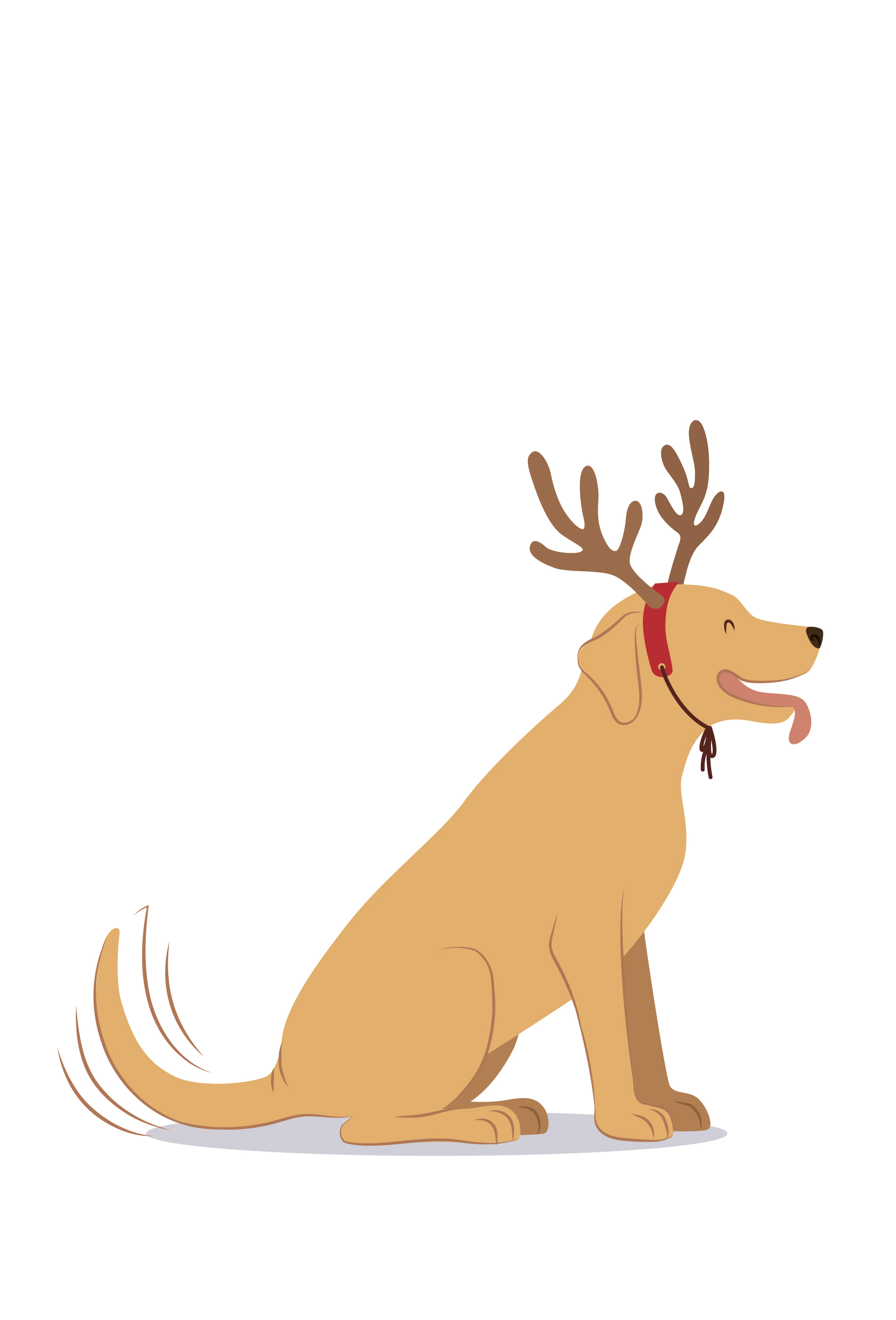 iStock-1447025241