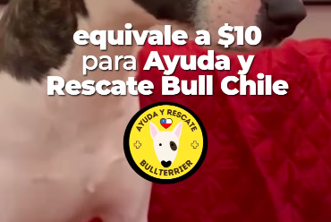 petcinos donacion julio