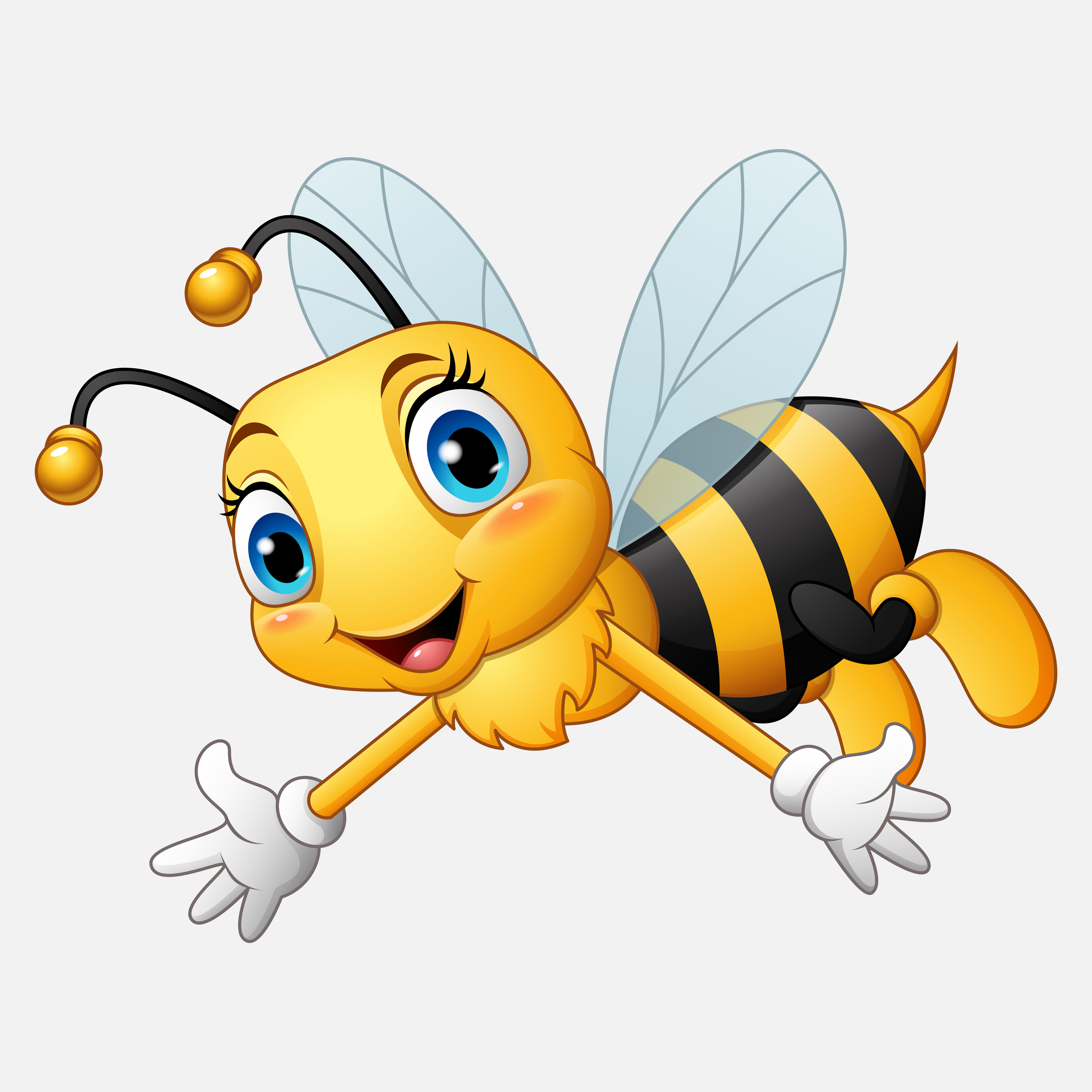 queen bee